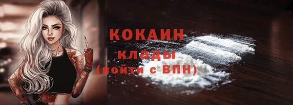 молекула духа Пересвет