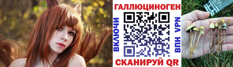 Галлюциногенные грибы Cubensis  Малая Вишера 
